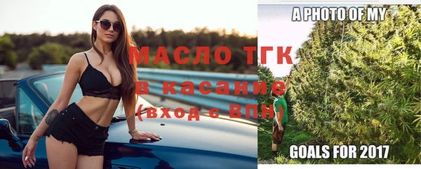 стаф Апатиты
