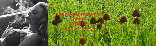 прущий лед Ахтубинск