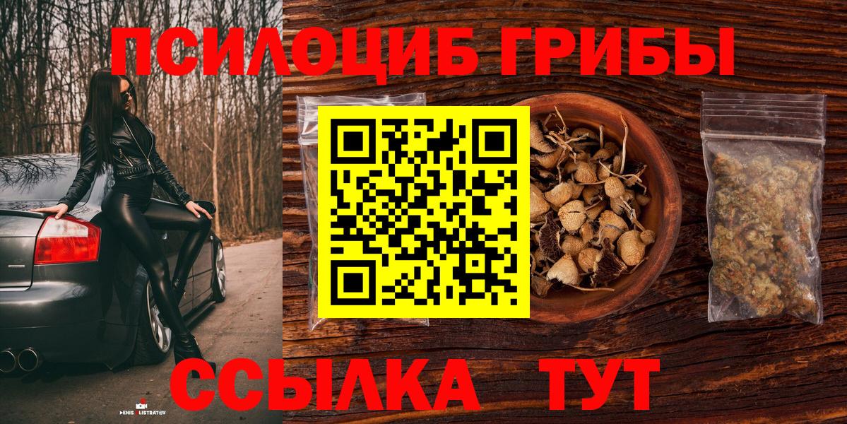 Галлюциногенные грибы MAGIC MUSHROOMS  Псилоцибиновые грибы GOLDEN TEACHER  Богородицк  Вход с VPN 