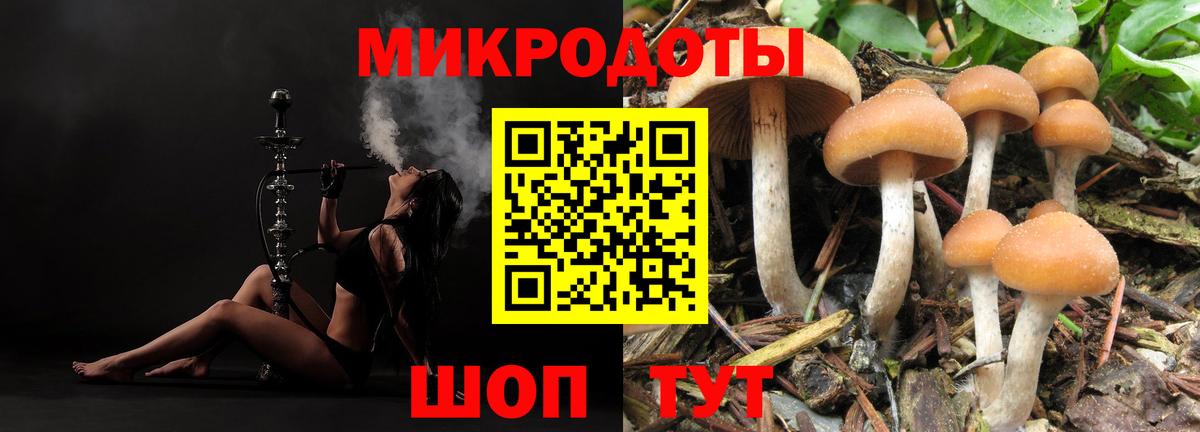 Галлюциногенные грибы ЛСД Богородицк