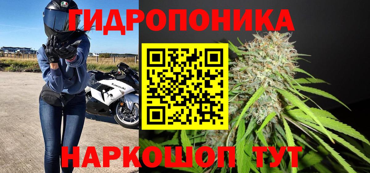 Бошки марихуана MAZAR Богородицк